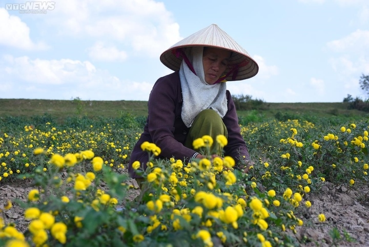 Đội tuyển quốc gia Việt Nam.