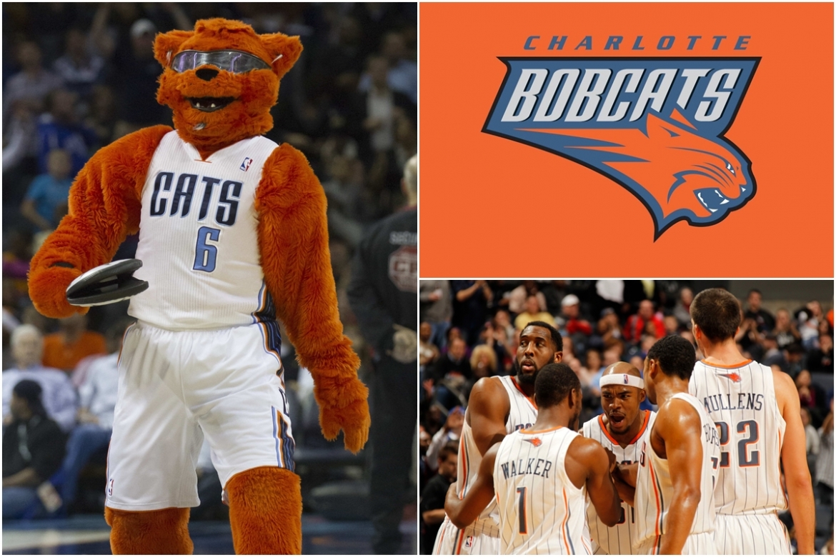 Charlotte Bobcats – “Linh miêu Charlotte” là đội hiếm hoi ở giải bóng rổ nhà nghề Mỹ gắn mèo vào tên và biểu tượng trong giai đoạn 2004-2014. Tuy nhiên, đội bóng này đã trở lại với tên khai sinh năm 1988 là Charlotte Hornets – “Ong bắp cày Charlotte” từ mùa giải 2014