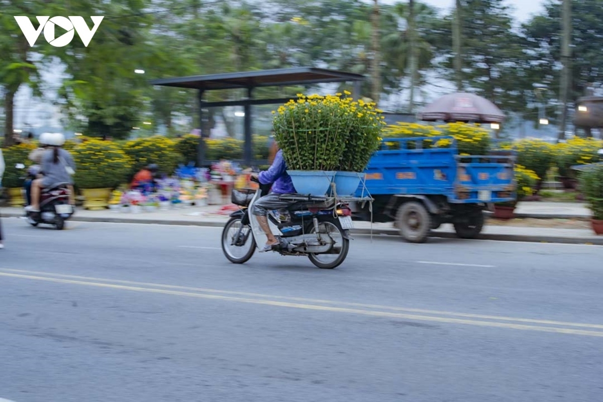 Ngày cuối cùng của năm, những người hành nghề xe thồ tất bật chở hoa về nhà cho khách, nguồn thu nhập những ngày này có thể lên đến tiền triệu.