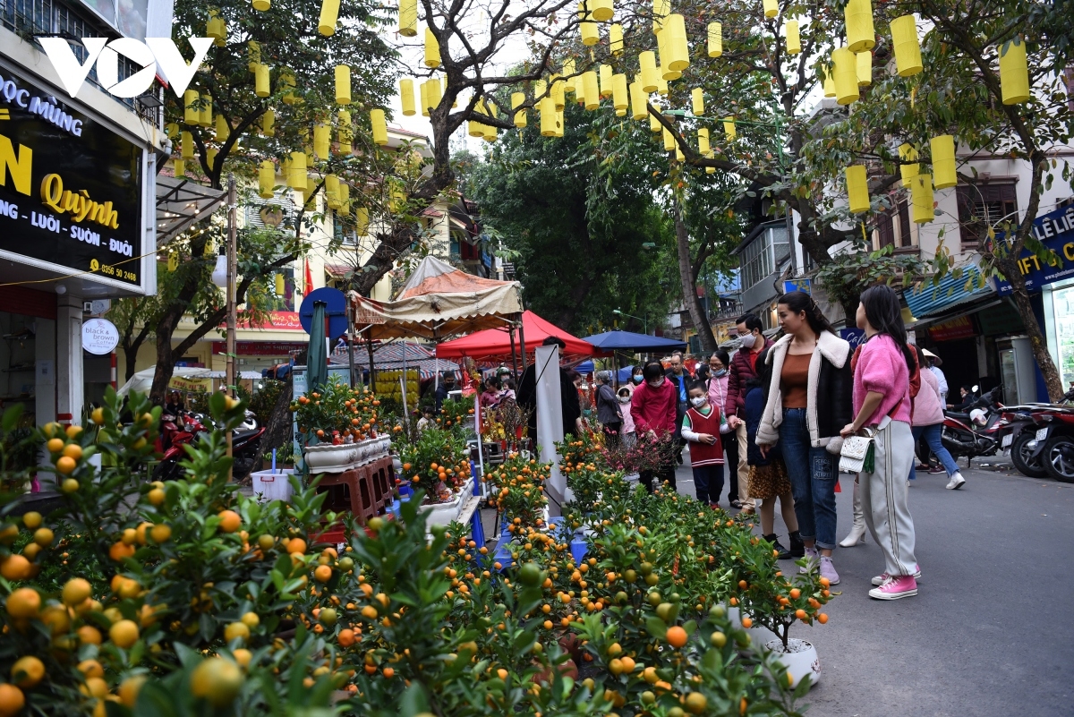 The traditional flower market is a hugely popular attraction featuring a large number of customers who prepare decorative items ahead of Tet.