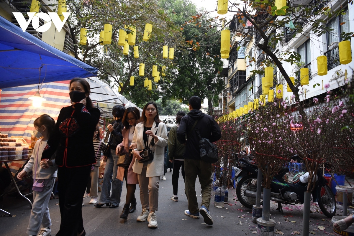 The Hang Luoc flower market is a long-standing famous market located in Hanoi. It only convenes once a year, with the site opening from the 15th to 30th day of the last month of the lunar calendar.