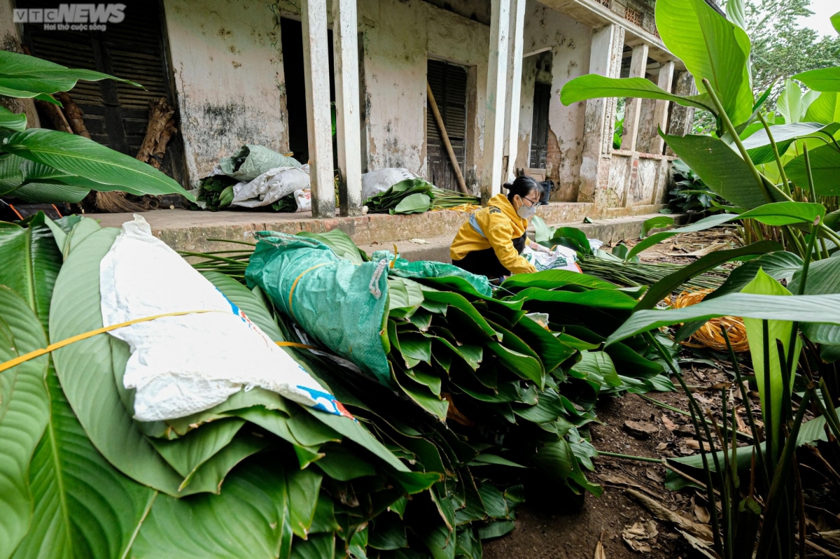 Dong leaves from Trang Cat village are the pride of villagers, with the item becoming famous both in Vietnam and abroad.