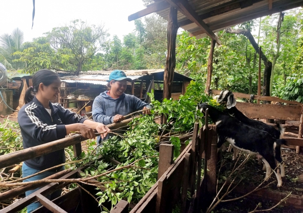                          Chị H Búi Ayun (phải) chia sẻ với các chị em về mô hình của gia đình.