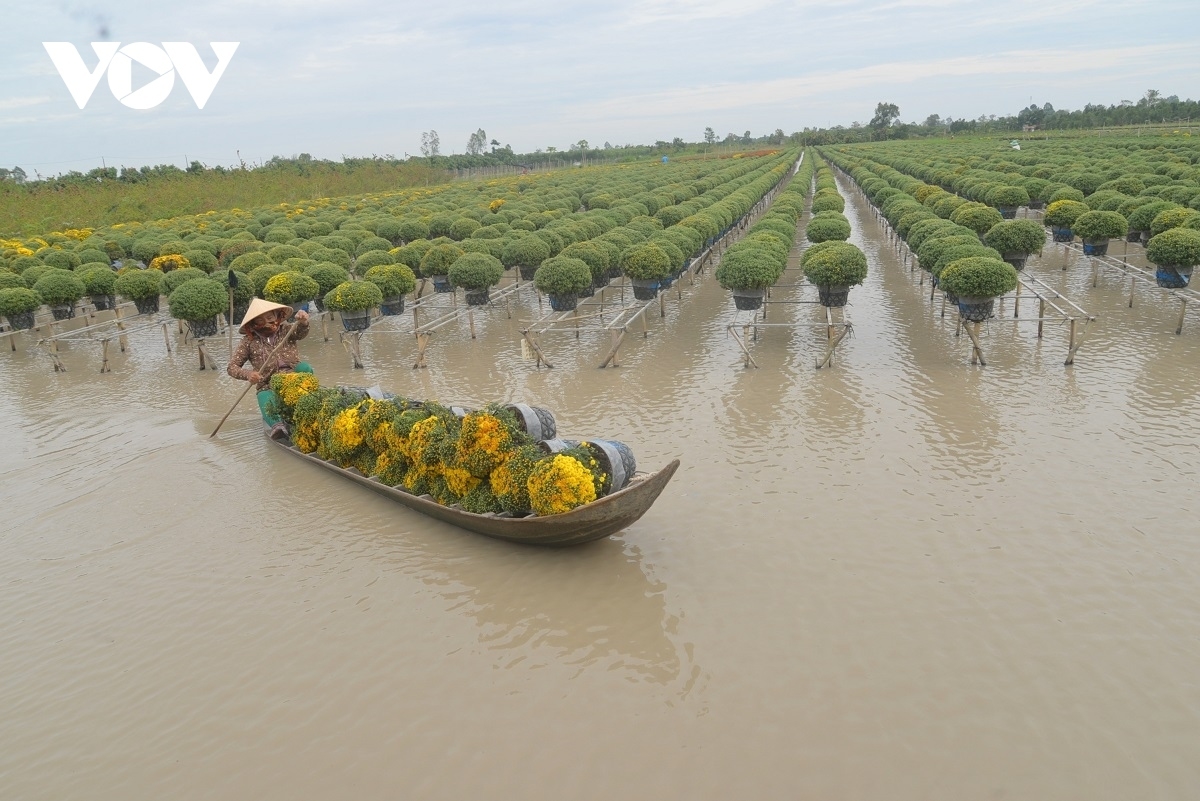 At this time, the village is considered at its most beautiful and vibrant because it's in the midst of the main harvest season of the year.