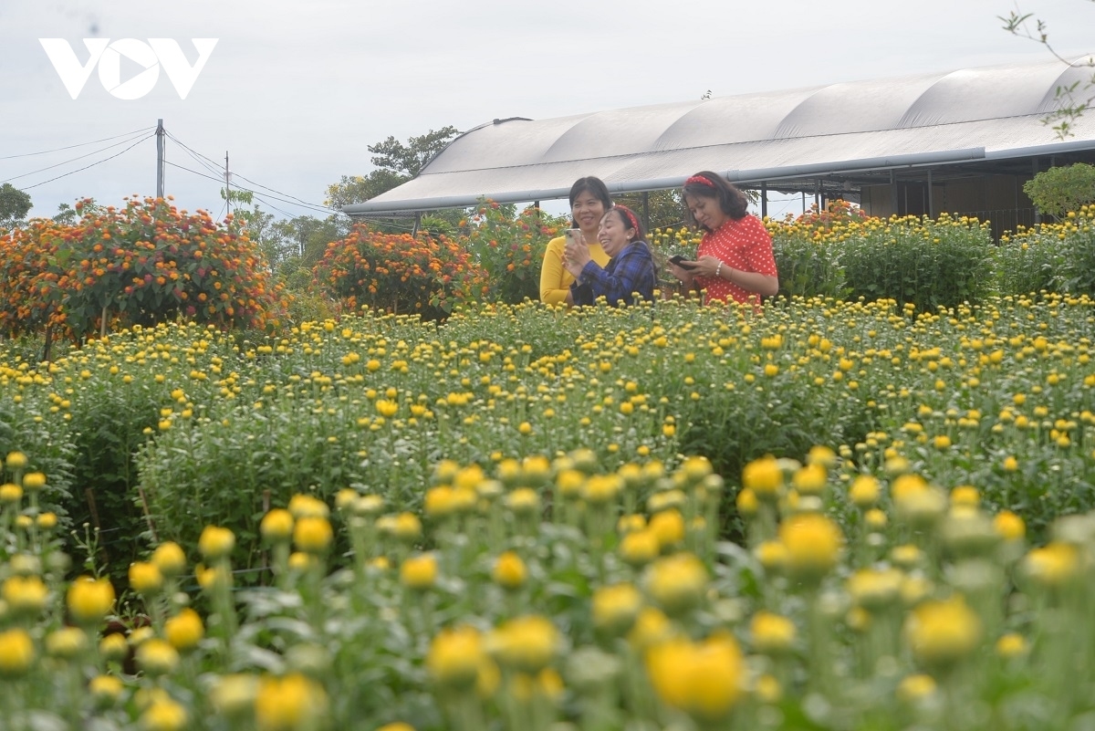 They can also talk and share gardening experiences, as well as participating in some of activities with local villagers to take care and pack flowers for sale.