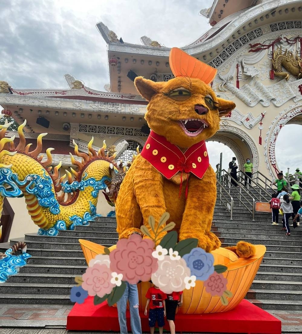 Tiếp tới phải kể đến mèo Suối Tiên (Thành phố Hồ Chí Minh). Nhiều người cho rằng chú mèo này chắc phải dậy sớm đón năm mới nên khá thiếu ngủ. (Ảnh: B.V)