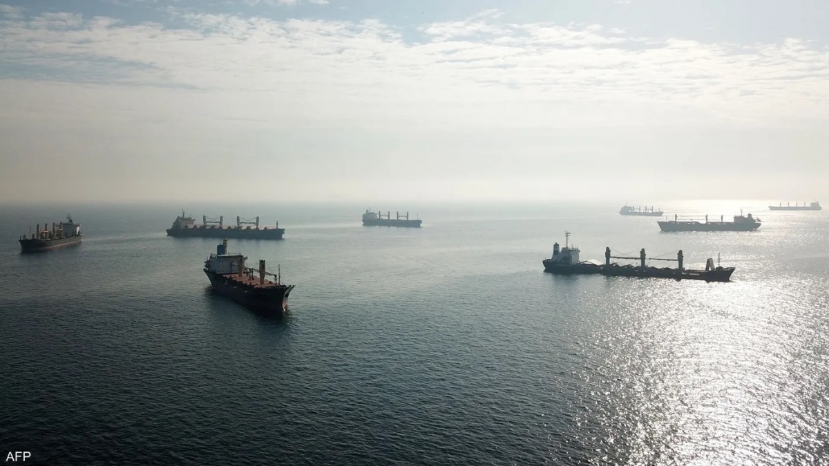 Xuất khẩu ngũ cốc qua Biển Đen. Ảnh: AFP.