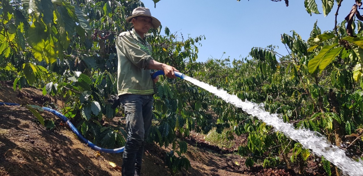 Người dân tưới nước hợp lý và tiết kiệm