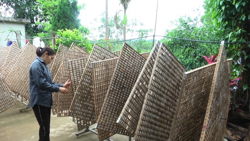 Thay đổi cách thức nuôi tằm đã mang lại hiệu quả kinh tế cao hơn cho bà con nông dân.