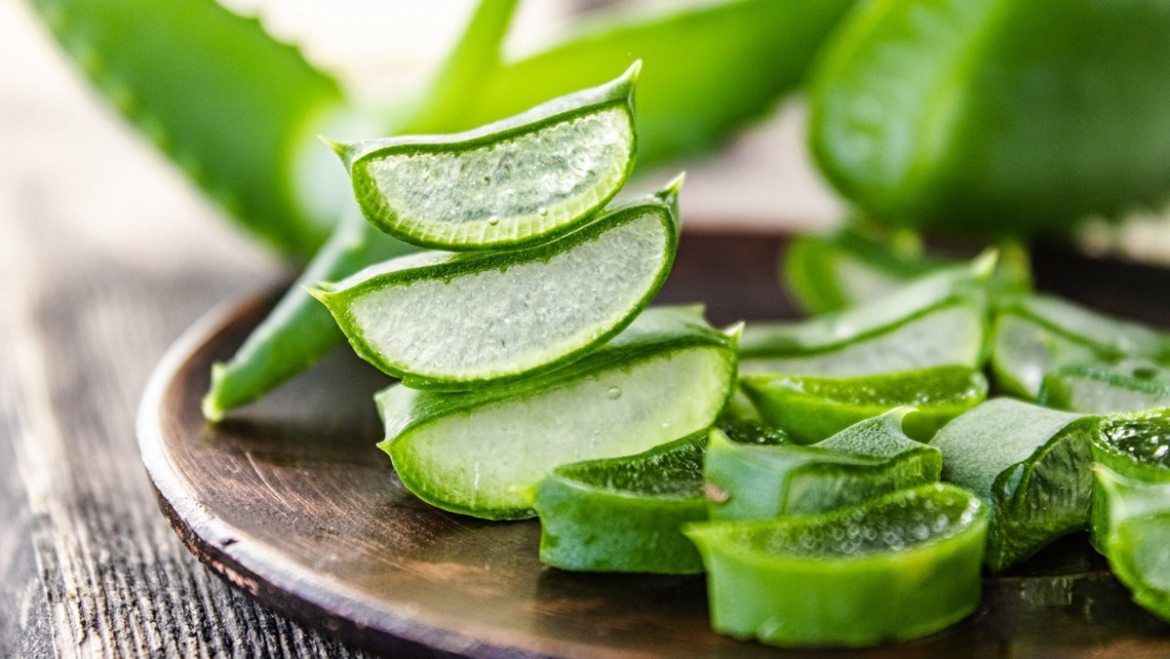 Nha đam nổi tiếng là một loại kem dưỡng ẩm tự nhiên. Với đặc tính giữ ẩm và thẩm thấu nhanh vào da khô, trị ngứa... khiến nha đam trở thành một trong những biện pháp khắc phục da chết tốt nhất. Bạn cần chuẩn bị hỗn hợp 1 thìa mật ong trồn cùng bột gạo và gel tươi nha đam. Dùng hỗn hợp này nhẹ nhàng mát-xa lên mặt, sau đó đợi khoảng 5 phút và rửa lại bằng nước sạch.