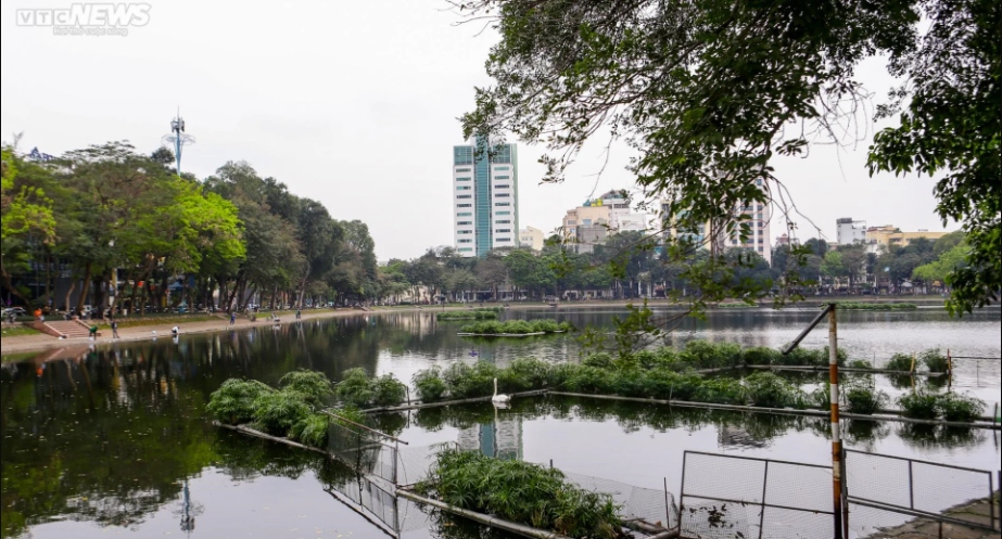 Tháng 2/2018, Công ty TNHH MTV Thoát nước Hà Nội thả 12 con thiên nga (7 con màu đen và 5 con màu trắng) xuống hồ Hoàn Kiếm nhằm tạo điểm nhấn, để du khách và người dân tham quan, chiêm ngưỡng. Trước những ý kiến trái chiều của dư luận, chỉ một ngày sau, đàn thiên nga này được đưa về hồ Thiền Quang nuôi từ năm 2018 đến nay.