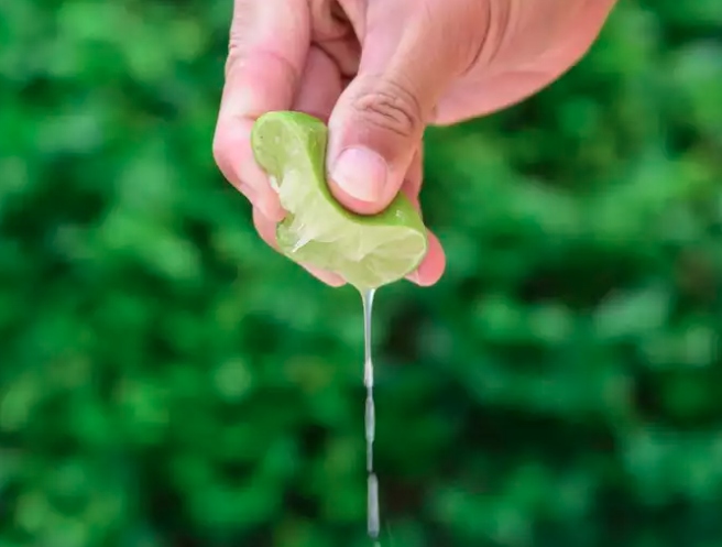 Chanh vàng: Nước chanh là một chất bảo quản tự nhiên khác thường được sử dụng trong nhà bếp của chúng ta. Nước ép cam quýt có chứa vitamin C, còn được gọi là axit ascorbic ngăn ngừa quá trình oxy hóa và biến màu của các loại thực phẩm khác nhau.