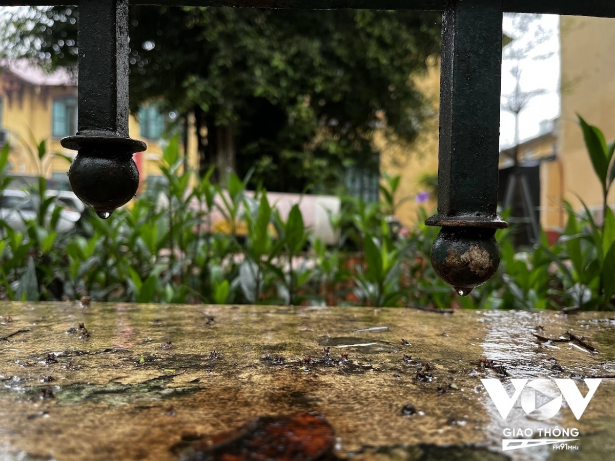 Sương mù đọng thành nước vào sáng sớm.