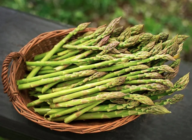 Thành phần dinh dưỡng của măng tây: Măng tây là một loại rau ít calo, giàu chất xơ, giàu protein, chứa nhiều vi chất dinh dưỡng, bao gồm vitamin K, folate, đồng và một số vitamin B. Theo Bộ Nông nghiệp Hoa Kỳ (USDA), một chén măng tây nấu chín (180 gram) có: Chất dinh dưỡng đa lượng: 40 calo; 4,3 gam chất đạm; 0,4 gam chất béo; 7,4 gam carbohydrate; 3,6 gam tổng chất xơ; 2,3 gam đường tự nhiên và các vi chất dinh dưỡng khác.