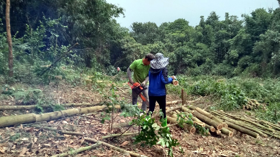 Vợ chồng anh chị Trương Tuấn Phong - Hà Thị Thúy về quê ở Thanh Hóa, công việc tuy vất vả nhưng có điều kiện chăm sóc con. Ảnh: NVCC