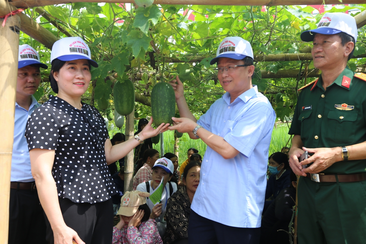 Tham quan vườn bí xanh thơm trong chương trình Xúc tiến tiêu thụ bí xanh thơm, sản phẩm OCOP và trải nghiệm sinh thái vùng bí xanh thơm Ba Bể