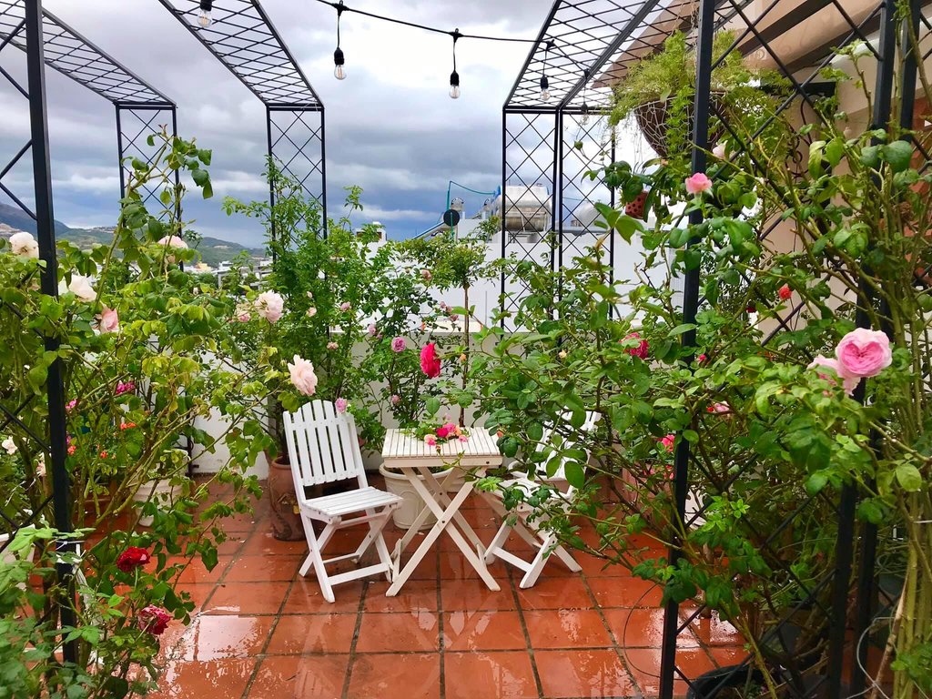 Khu vườn đậm chất nhiệt đới với giàn hoa hồng là địa điểm hoàn hảo để nghỉ dưỡng trong những ngày hè.