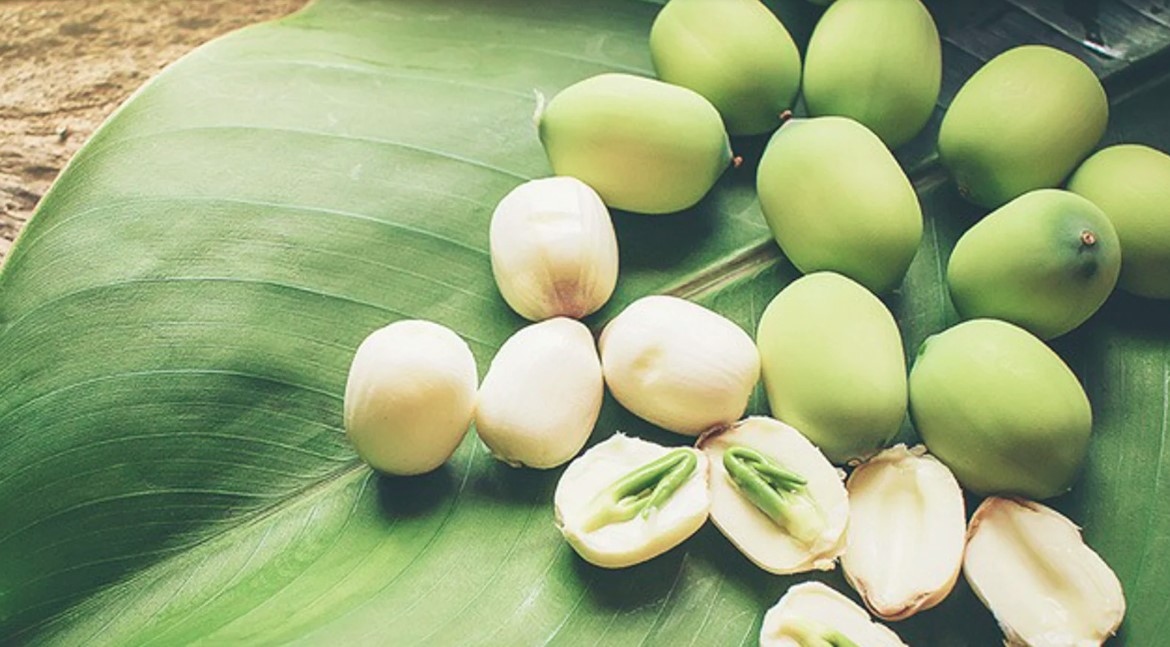 Sen có nhiều tác dụng tốt cho sức khỏe