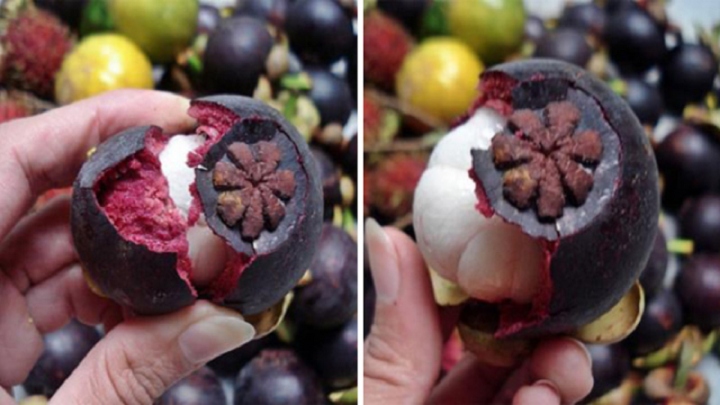 Cách bóc măng cụt từ đáy quả. 