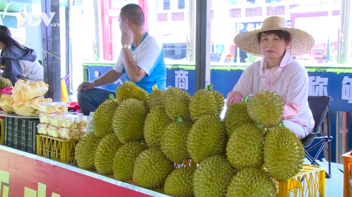 Sầu riêng các nước Đông Nam Á, đặc biệt là Việt Nam xuất khẩu sang Trung Quốc tăng mạnh.