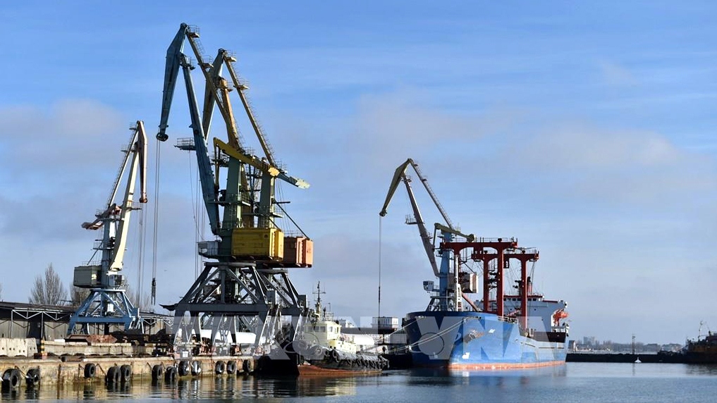 Tàu container neo tại cảng Berdyansk, miền Đông Ukraine. Ảnh: AFP/TTXVN