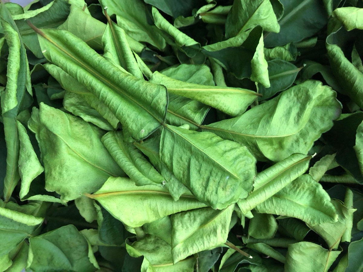 Lá chanh giúp tăng cường miễn dịch