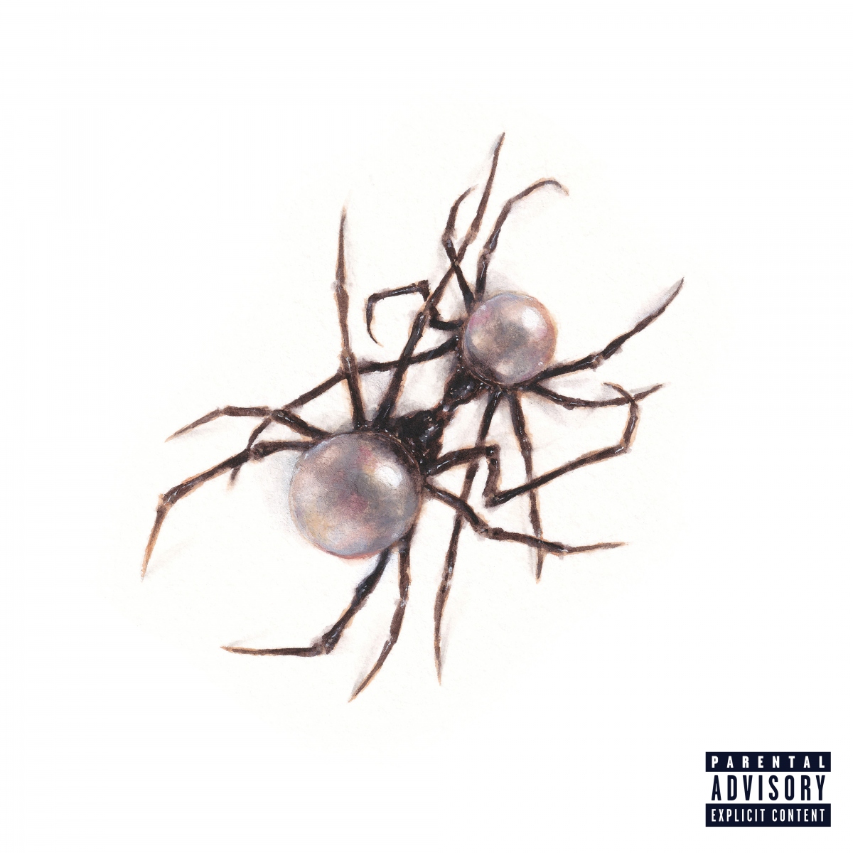 Album phòng thu thứ 4 của Doja Cat, “Scarlet”, sẽ được ra mắt vào ngày 22/9.