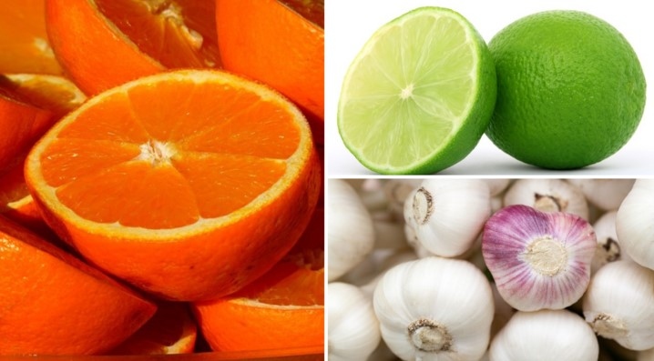 Đặt những đồ vật này ở đầu giường ngủ giúp thanh lọc không khí, cải thiện giấc ngủ (Ảnh minh hoạ: pixabay)