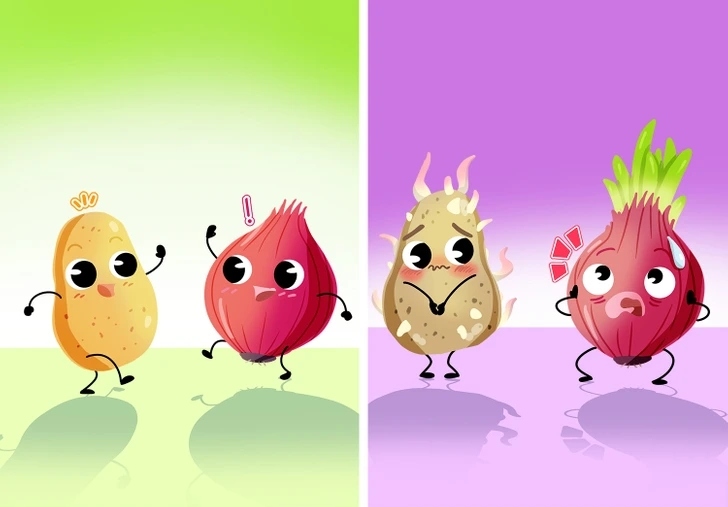  Hành tây và khoai tây: Hành tây hút ẩm nhanh, còn khoai tây tiết ra quá nhiều hơi ẩm nên không thể bảo quản cùng nhau. Điều này sẽ khiến khoai tây nhanh mọc rễ và hành tây mọc chồi xanh .