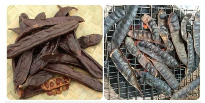 Bồ kết có nhiều công dụng với sức khỏe