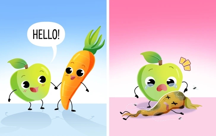 Táo và cà rốt: Táo sản sinh ra rất nhiều ethylene. Đó là lý do tại sao bạn phải cẩn thận khi bảo quản táo cùng với các thực phẩm khác. Đặc biệt, không nên bảo quản táo cùng cà rốt. Nếu không, cà rốt sẽ có vị đắng chỉ sau 2  tuần.