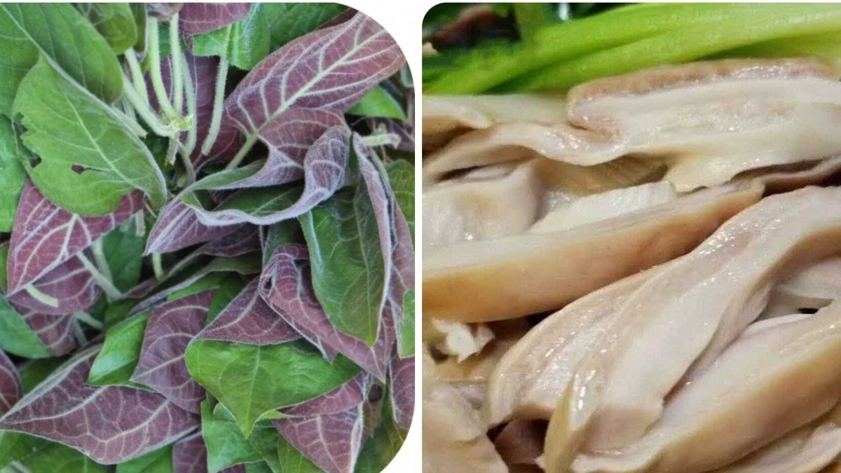 Lá mơ lông rất tốt cho dạ dày