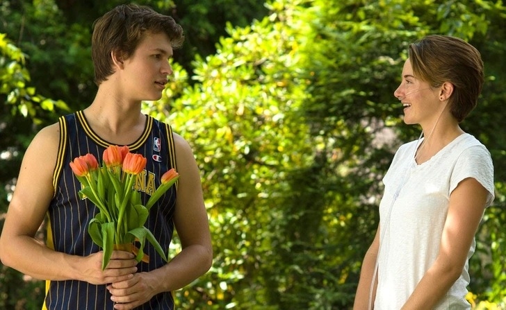 Trước sự thuyết phục của mẹ Frannie, Hazel Grace, 17 tuổi, người đang chiến đấu với căn bệnh ung thư phổi, ngập ngừng đăng ký tham gia một nhóm hỗ trợ bệnh ung thư. Cô gặp Gus, một thanh niên cùng tuổi được chẩn đoán mắc bệnh u xương ác tính, một loại ung thư xương nguy hiểm và kết quả là anh phải cắt cụt chân. Khi họ theo đuổi những mục tiêu và mong muốn chung, câu chuyện tình yêu của họ dần phát triển và dẫn tới bộ phim "The Fault in Our Stars" đầy cảm động. 