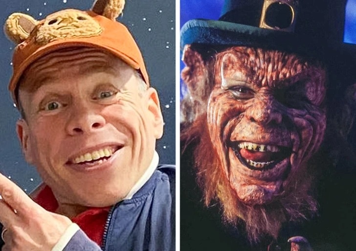 Thật khó để hình dung tạo hình của một yêu tinh trong bối cảnh phim kinh dị, nhưng Warwick Davis đã thể hiện xuất sắc điều đó trong loạt phim The Leprechaun. Với vai diễn này, Warwick Davis đòi hỏi phải trang điểm đậm và mang móng tay giả cho nhân vật của mình để mang tới khán giả một tạo hình hoàn hảo nhất có thể.