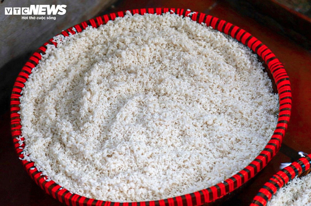 Sticky rice is carefully chosen in order to make delicious Banh Chung.