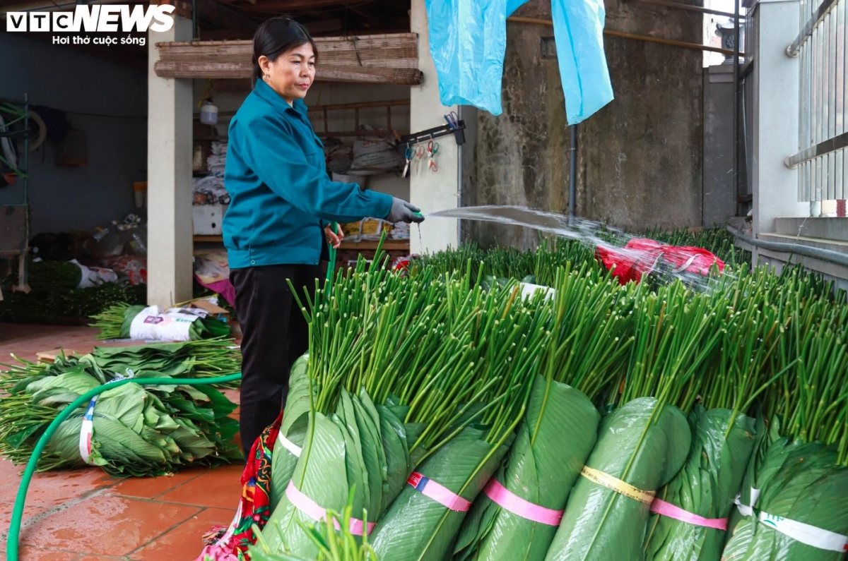 Dong leaves can be purchased in order to wrap traditional cakes which are unique to the occasion, including Banh Day (round cake made of sticky rice flour) and Chung cake (glutinous square rice cake).