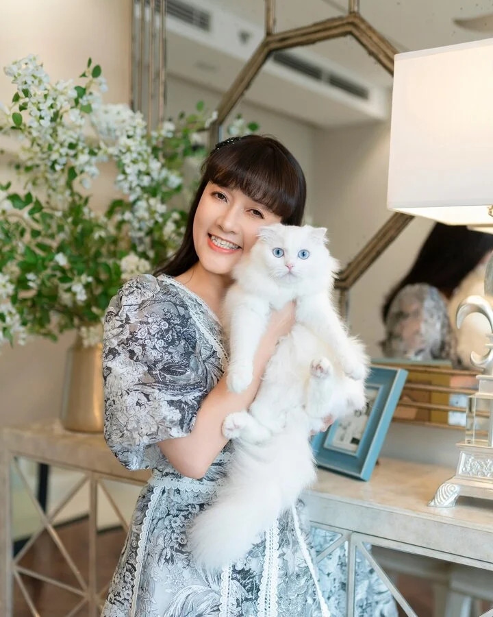 Đến thời điểm hiện tại, dàn nghệ sĩ chương trình Táo quân đã có 4 người được phong tặng danh hiệu NSND, đó là Tự Long, Công Lý, Quốc Khánh và Minh Hằng. Hai nghệ sĩ được phong NSƯT là Quang Thắng và Chí Trung, chỉ có "Táo Y tế" Vân Dung là người chưa có danh hiệu nào. Nói về lý do chưa có danh hiệu nào sau hơn 30 làm nghề, Vân Dung khẳng định phần thưởng lớn nhất đối với cô là tình cảm, sự yêu mến của khán giả. “Dù đóng sân khấu hay phim ảnh, mỗi khi nhận một vai diễn, tôi đều cố gắng đầu tư, xây dựng nhân vật của mình từ tạo hình đến đời sống, tâm lý để lên phim được tốt nhất, rõ nét nhất. Tôi không để các nhân vật của mình bị trùng lặp, giống nhau. Bao nhiêu tình yêu, tâm sức tôi đã dồn hết trong từng vai diễn. Được khán giả yêu thương, đón nhận, với tôi đã là hạnh phúc lớn lao”, cô từng nói. (Nguồn: VTC News)