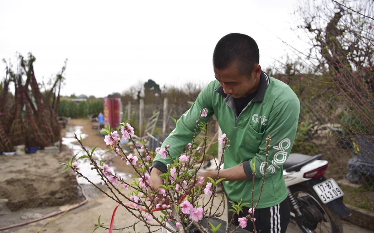 Growers bring peach blossoms to the market in order to meet demand for decorations during the Tet holiday.