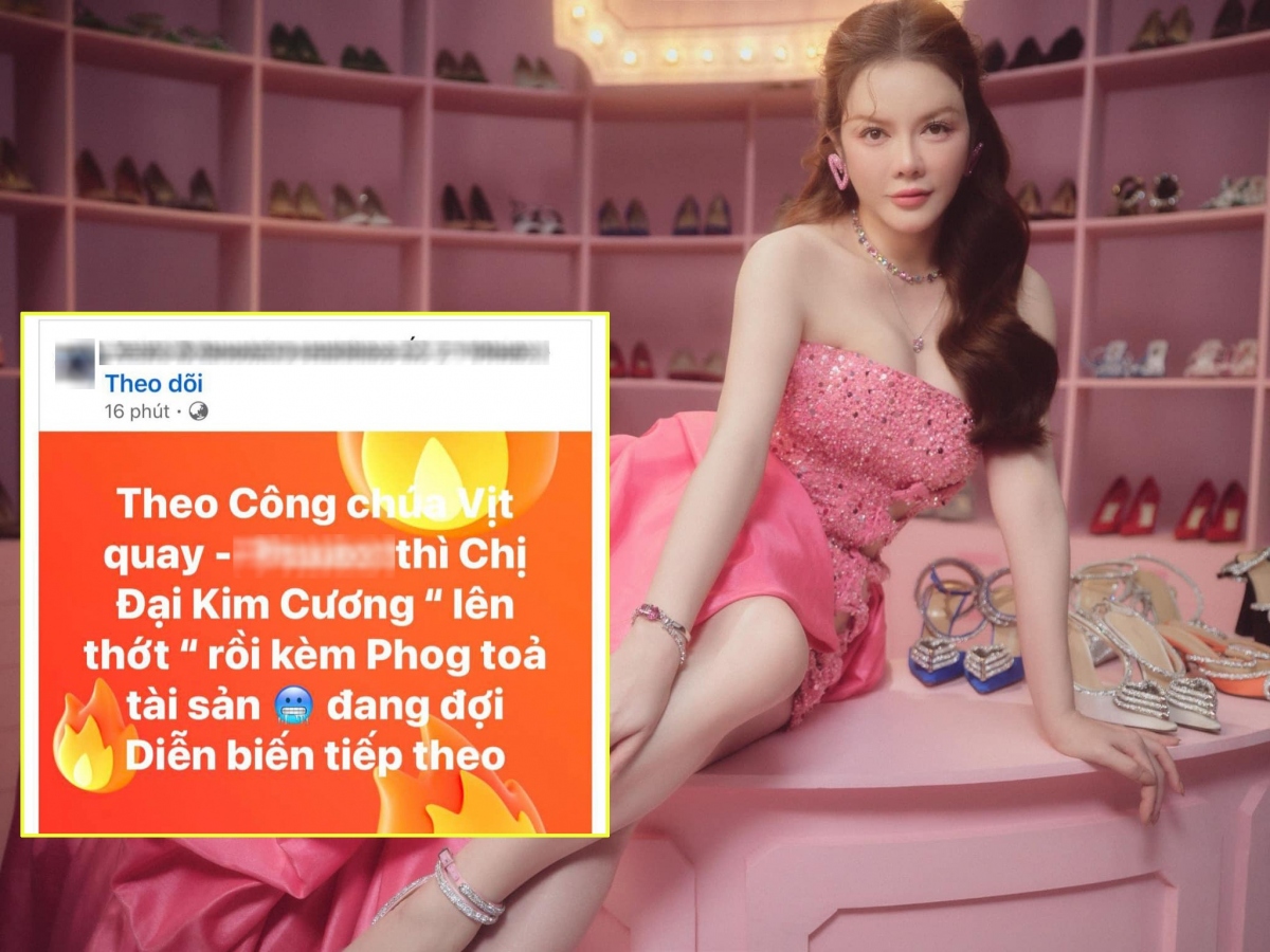 Mới đây, trên một hội nhóm vừa đăng tải thông tin "Chị đại gia kim cương lên thớt rồi bị phong tỏa tài sản, đang đợi những diễn biến tiếp theo". Dù trang này không gọi tên cụ thể bất kỳ ai nhưng nhiều cư dân mạng đồn đoán rằng đây là Lý Nhã Kỳ. Ngay sau khi nhận được thông tin, Lý Nhã Kỳ đã nhanh chóng lên tiếng phủ nhận. Đồng thời, cô cũng nhắc nhở những người quản trị kênh này không nên đăng tải những thông tin mang tính chất vu khống nhằm mục đích bôi nhọ người khác. Đồng thời, nữ diễn viên Gió nghịch mùa cũng mong muốn các trang mạng nên kiểm chứng thông tin rõ ràng trước khi đăng tải. (Theo: Thanh Niên)