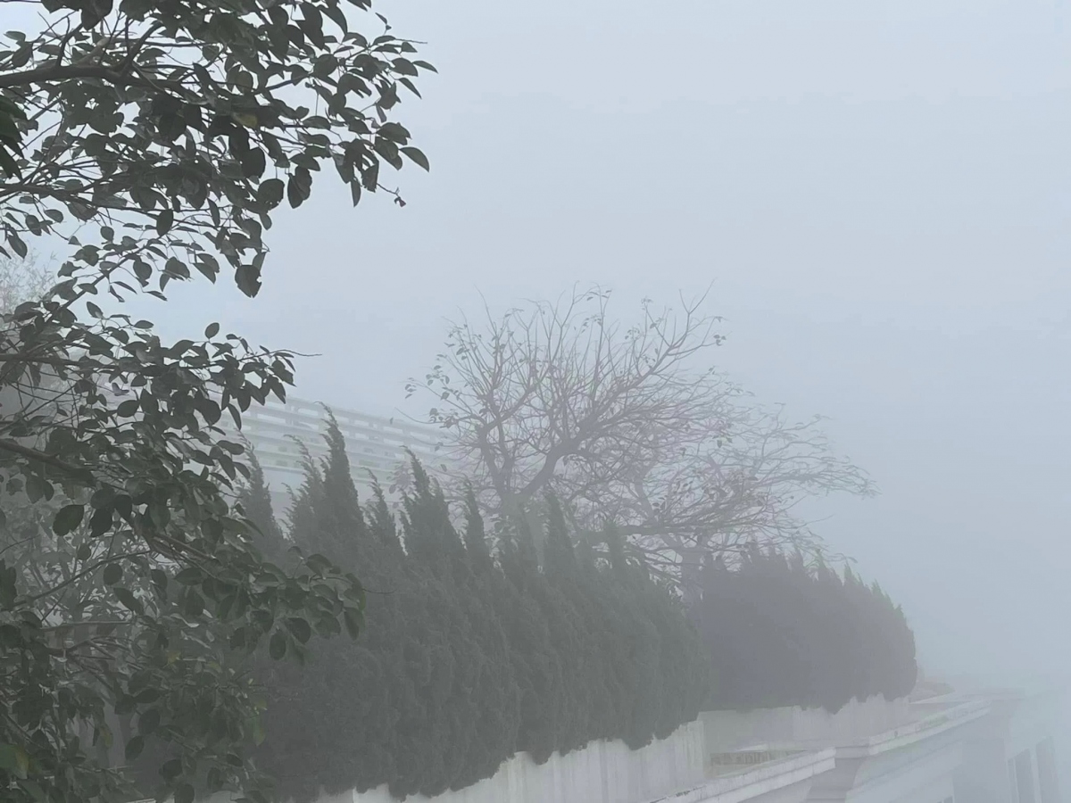 Nhiều người ngỡ rằng đây là khung cảnh ở những xứ sở sương mù như Sapa, Đà Lạt, Tam Đảo... (Ảnh: Vu Luong)