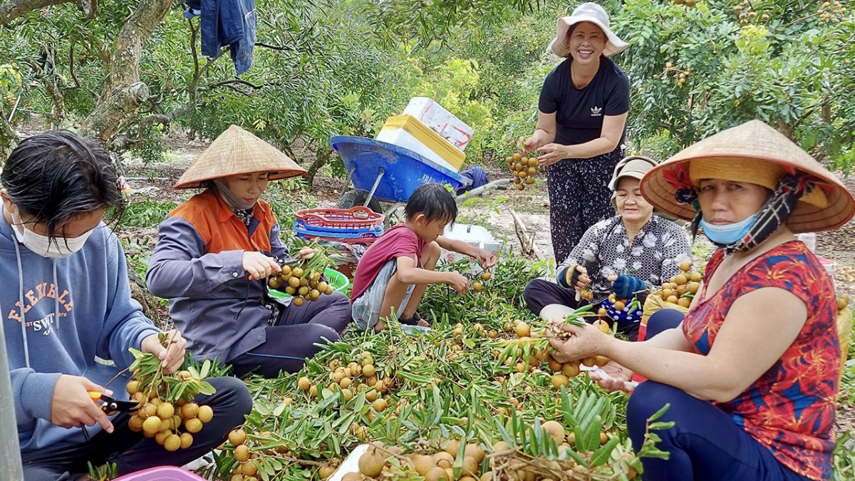 Bộ NN&amp;PTNT sẽ tiếp tục cắt giảm, đơn giản hoá các thủ tục hành chính.