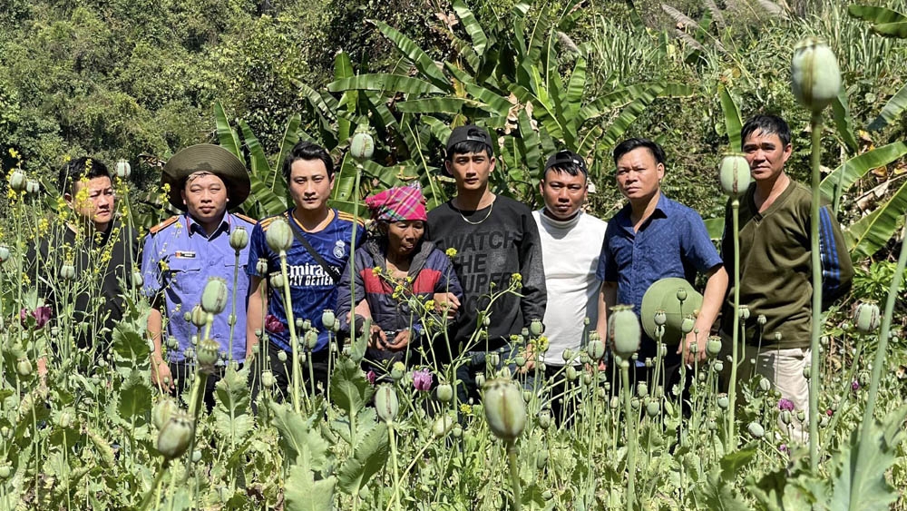 Đối tượng Lỳ Khừ Nu bị bắt giữ tại nương thuốc phiện 