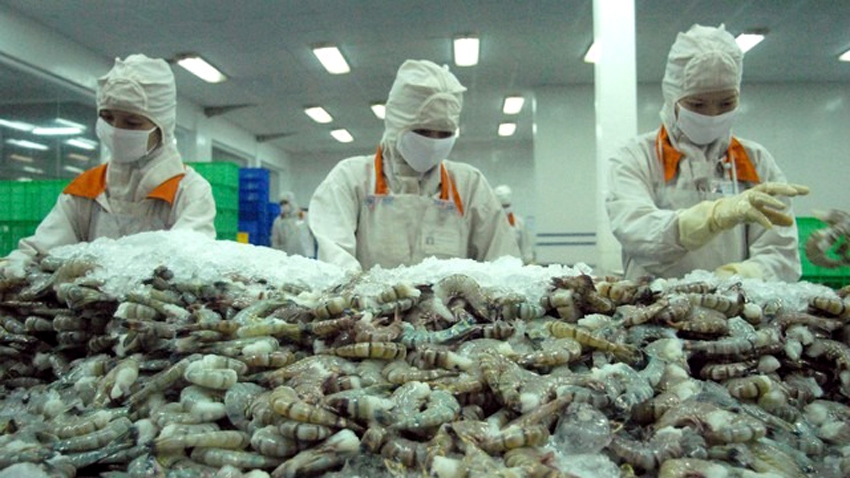 Trong 3 tháng đầu năm nay, xuất khẩu thủy sản đã có những tín hiệu tích cực khi đạt mức gần 1,9 tỷ USD
