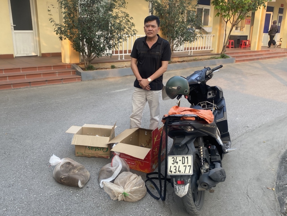 Đối tượng vận chuyển động vật hoang dã và tang vật.