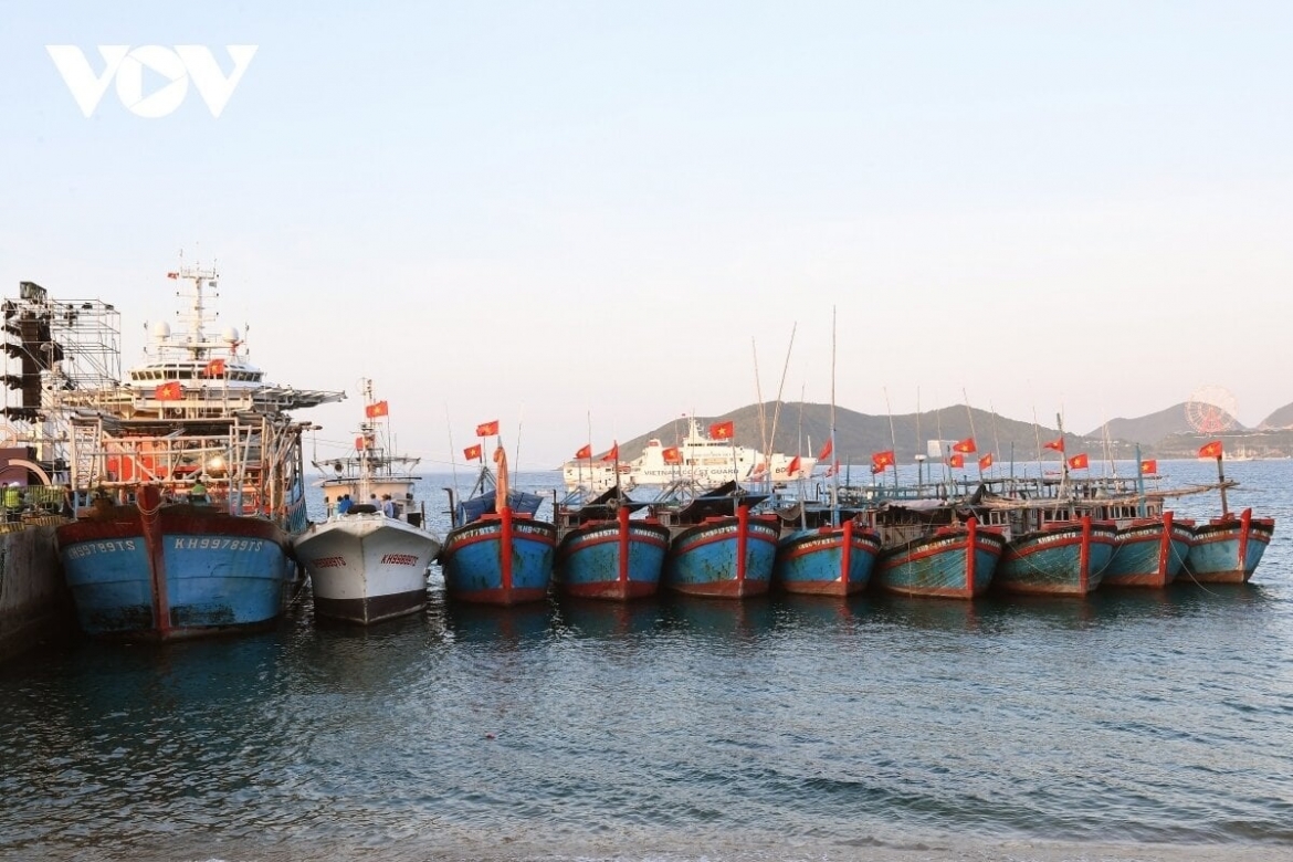 Từ 20/5, khai thác thủy sản không phép sẽ bị phạt 100 triệu đồng (Ảnh minh họa)