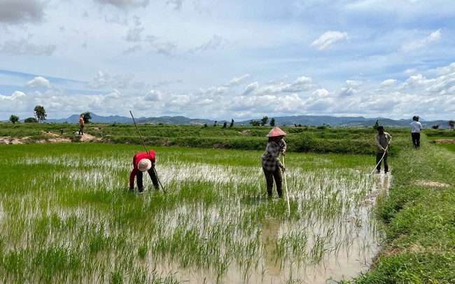Liên quan sai phạm đất đai, đến nay, 9 cán bộ, lãnh đạo ở xã Hồng An và huyện Hưng Hà, tỉnh Thái Bình bị khởi tố. (Ảnh minh họa - Ảnh: Dân trí)