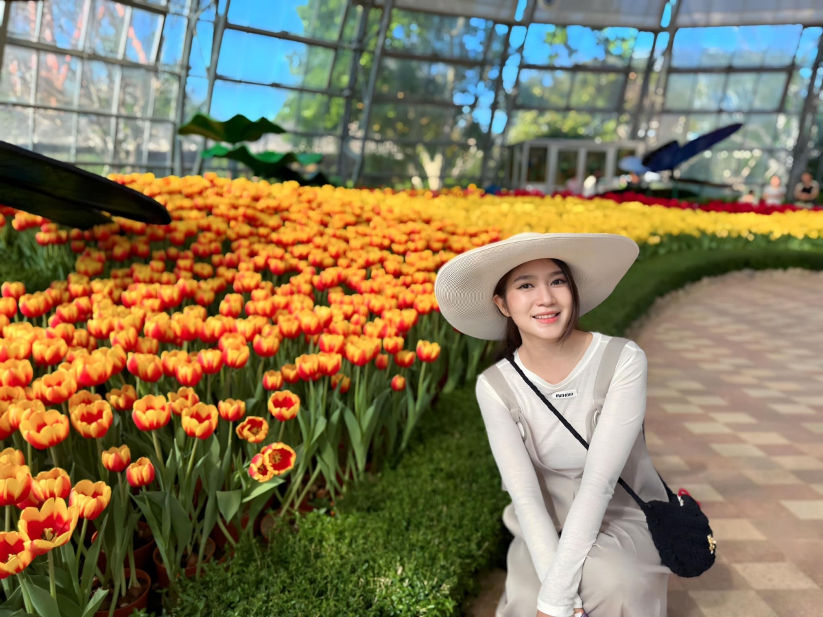 Minh Hà từng là học sinh của trường THPT Nguyễn Thị Minh Khai, nổi tiếng có chất lượng giảng dạy tốt ở TP.HCM. Sau đó, vợ Lý Hải tiếp tục trở thành sinh viên của trường Đại học Luật TP.HCM. 