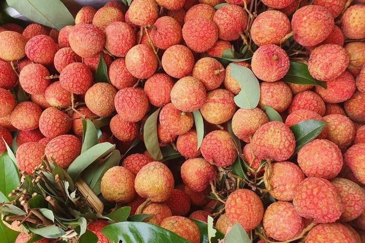 Vải u hồng chín sớm đang được bán trên chợ mạng với mức giá hơn 100.000 đồng/kg