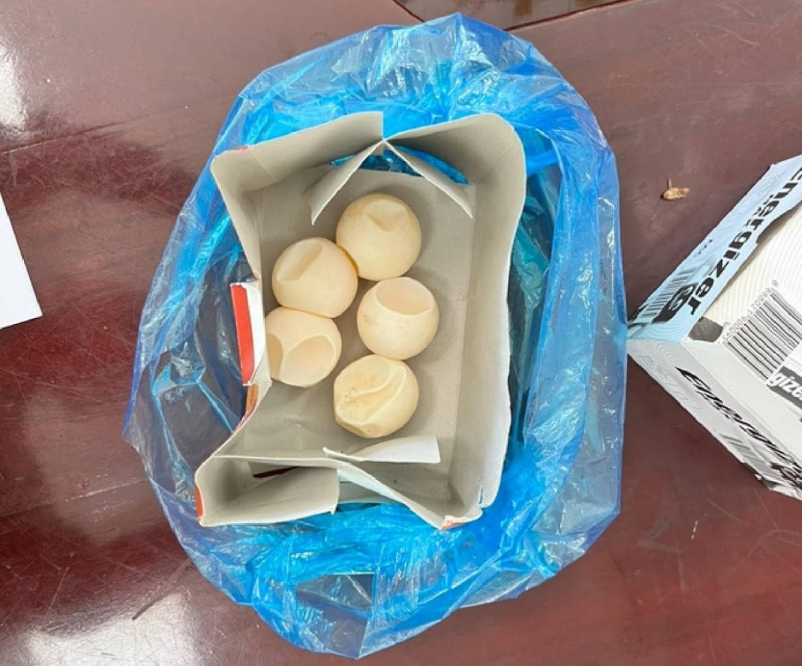 Tang vật 5 quả trứng vích (rùa biển) do cơ quan chức năng thu giữ (Ảnh: Báo Thanh niên)