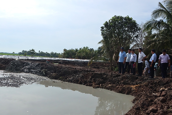 Đoàn đã đến kiểm tra công trình nạo vét kênh Cái Cái, thuộc xã Thông Bình